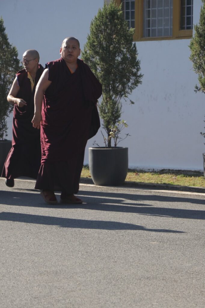 Kama News 1 20251128 (2) (Custom)