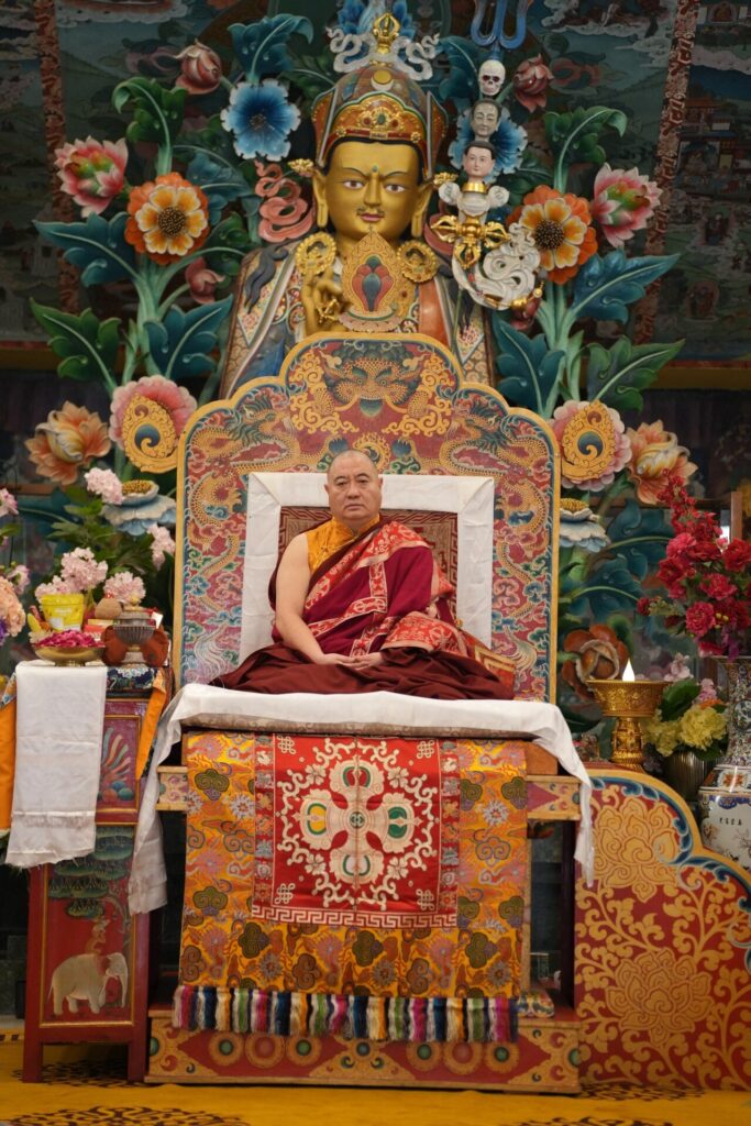 GRY07908-Custom-rotated